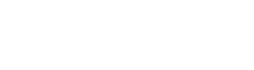 FONO Consulting